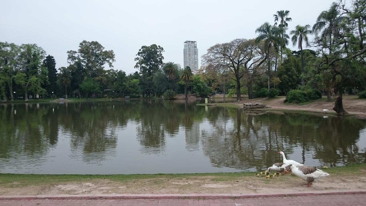 Castex Y Salguero Palermo Chico 2 Pax 10Min Aeroparque 100M Mater Dei Buenos Aires Exterior foto